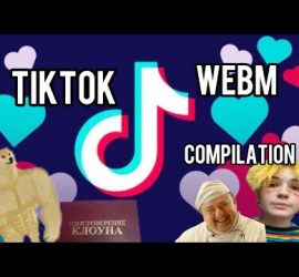 Лучшие видео из TikTok